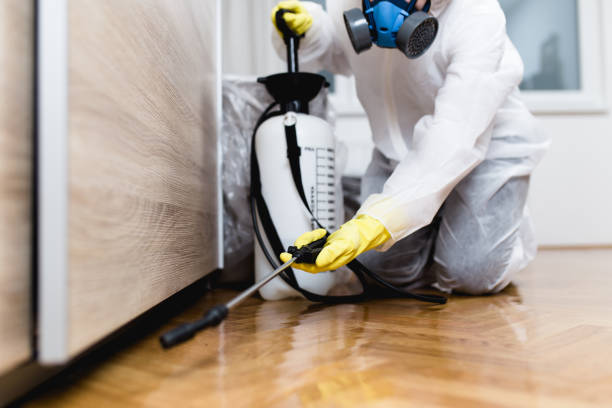 Best Cockroach Control Services  in Jordan, MN