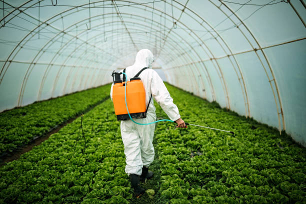 Best Residential Pest Control  in Jordan, MN
