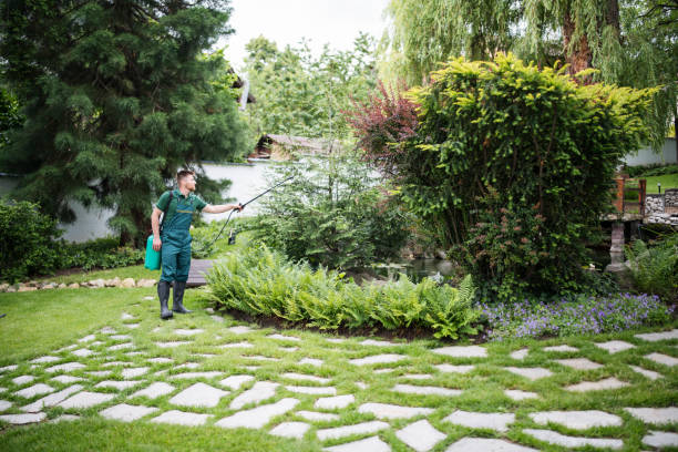 Best Affordable Pest Control Services  in Jordan, MN
