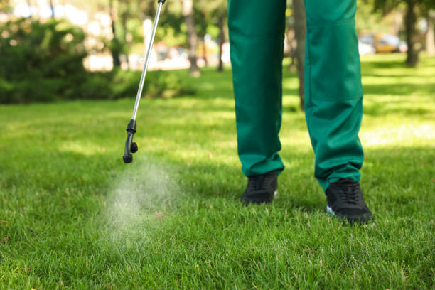 Best Bed Bug Extermination  in Jordan, MN