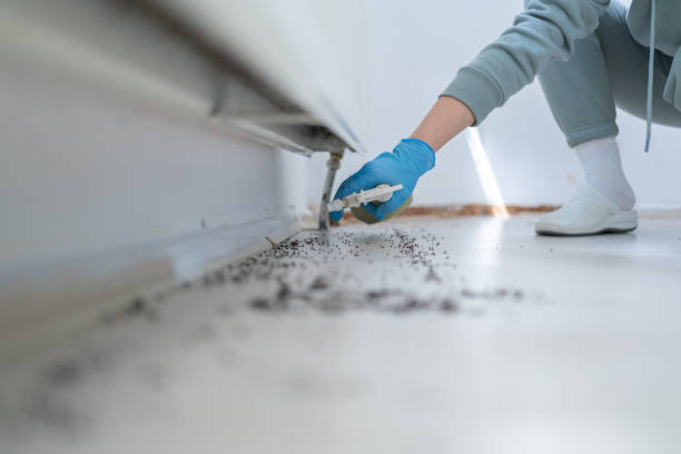 Best Commercial Pest Control Services  in Jordan, MN